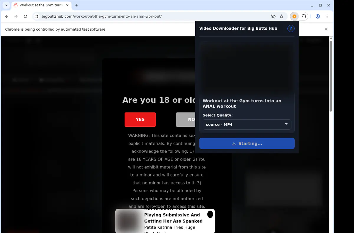 Bigbuttshub Video Downloader browser extension screenshot 2