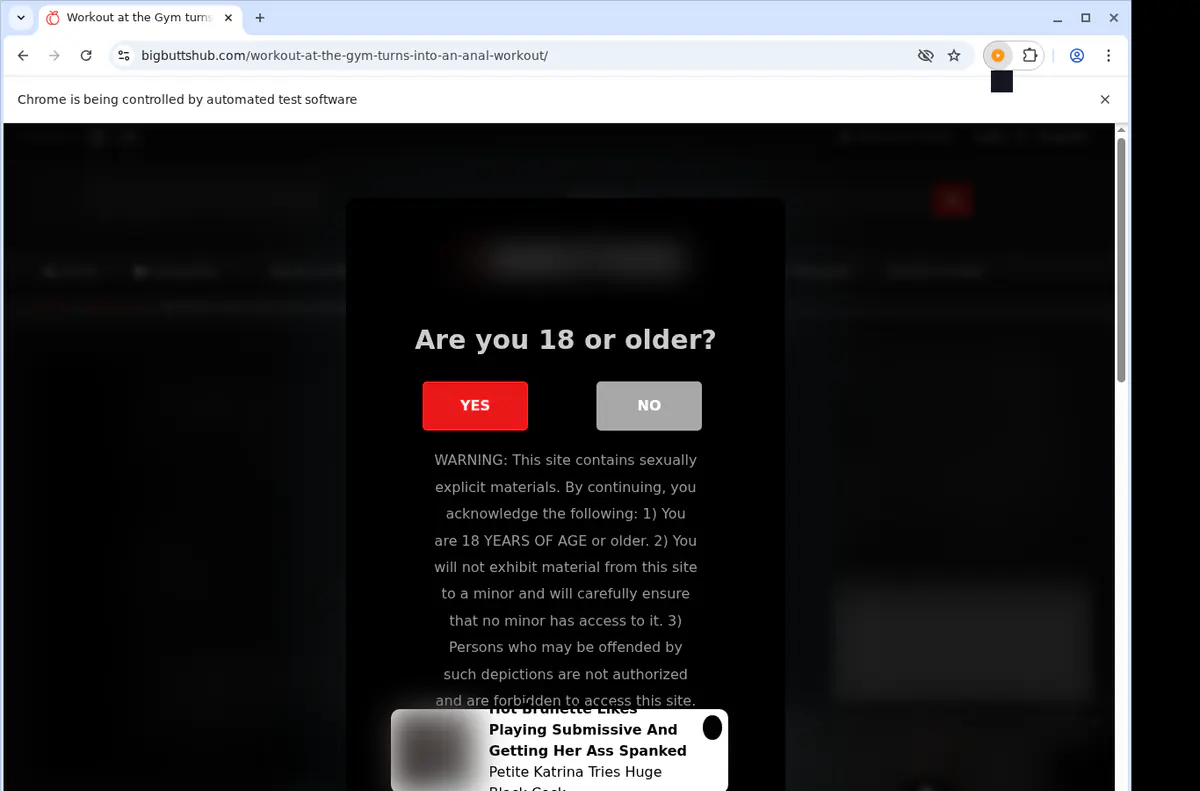 Bigbuttshub Video Downloader browser extension screenshot 5